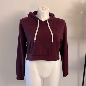 H&M Cropped Hooded Sweater | Large